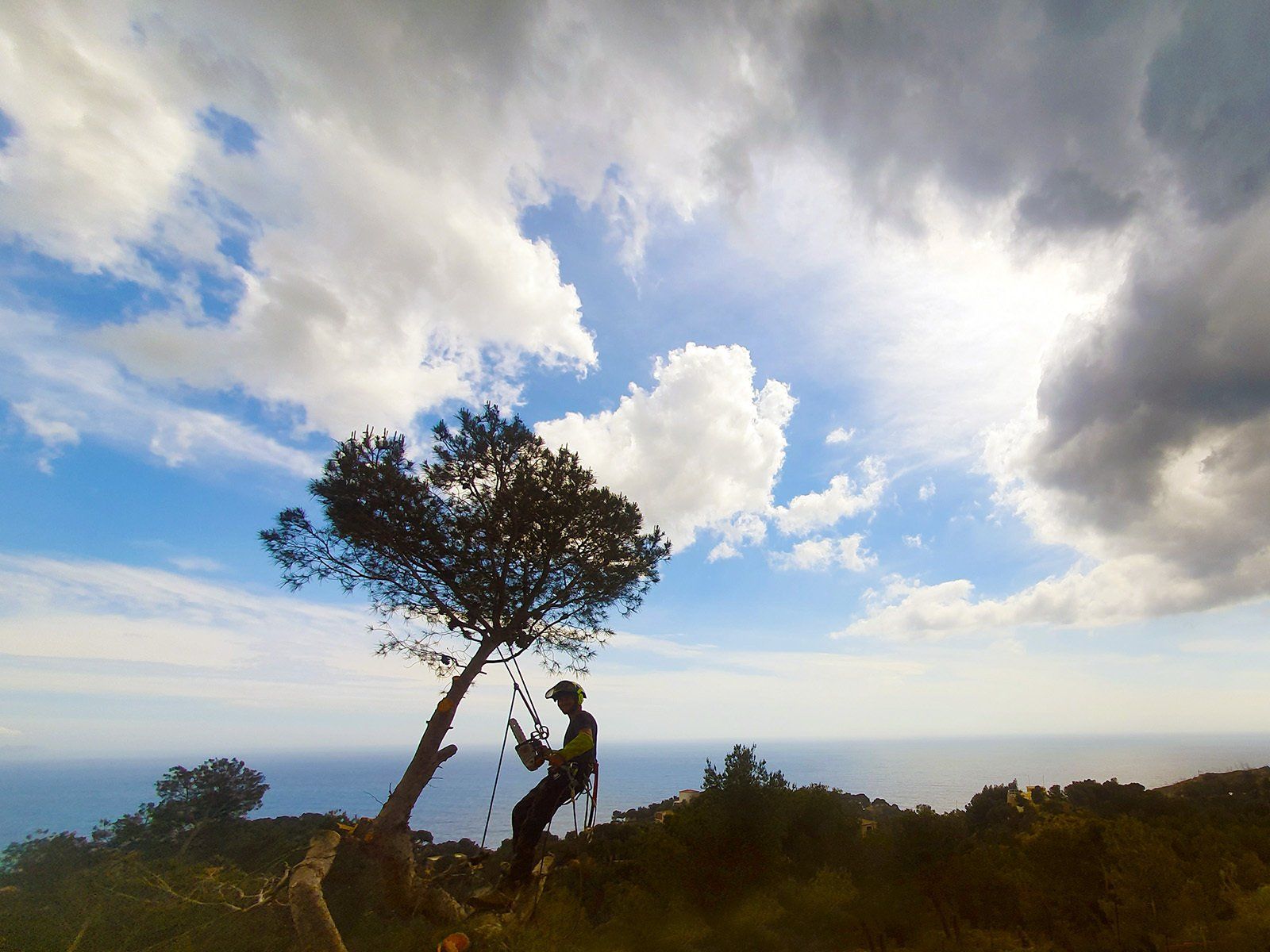 Access Vert paysagiste Aix en Provence Abatage et élagage