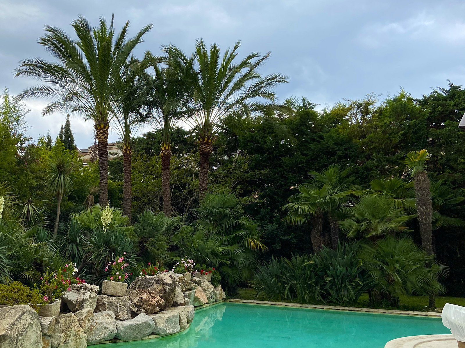 Access Vert paysagiste Aix en Provence Abatage et élagage