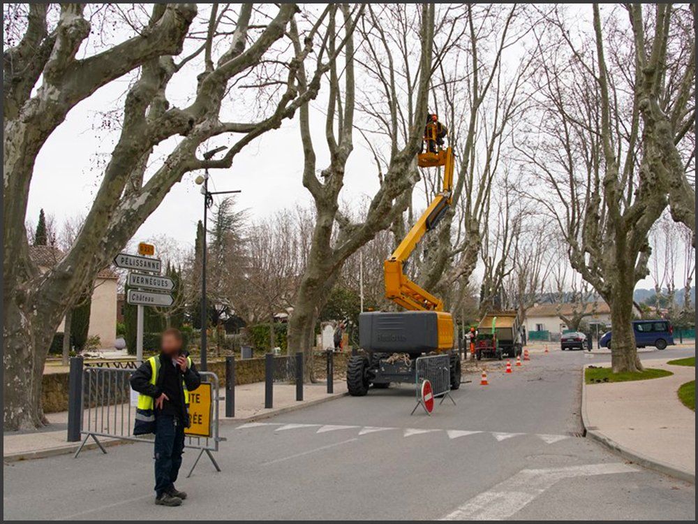Access Vert paysagiste Aix en Provence Abatage et élagage