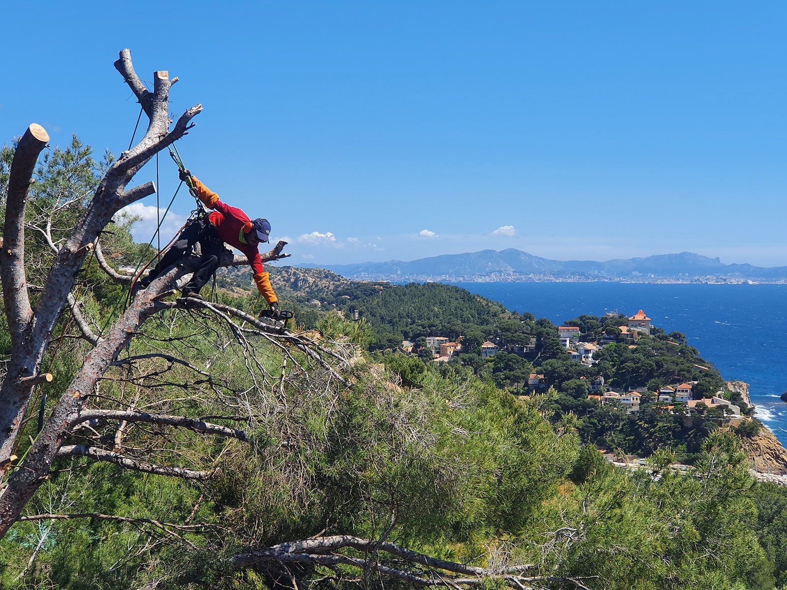 Access Vert paysagiste Aix en Provence