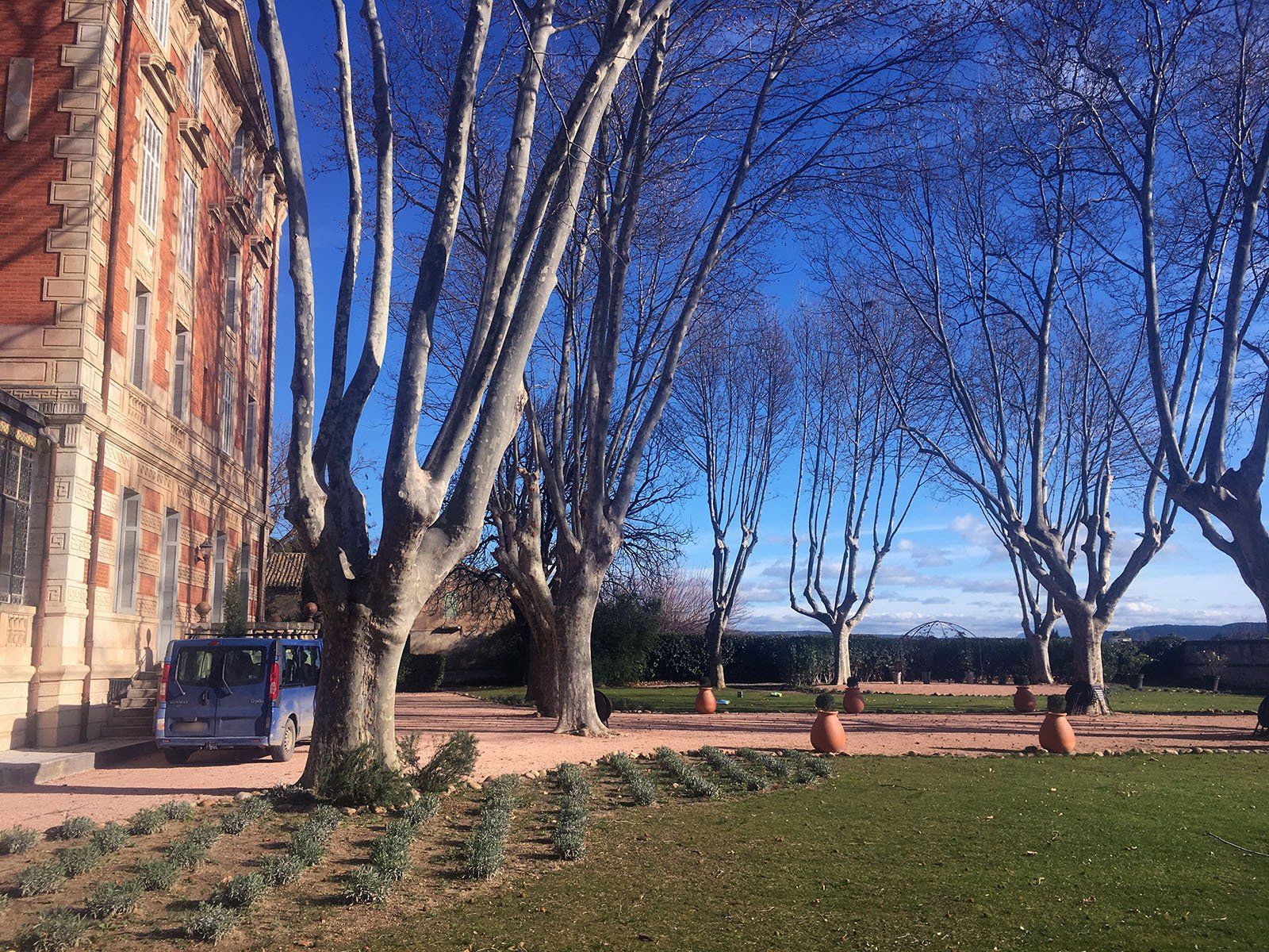 Access Vert paysagiste Aix en Provence Abatage et élagage