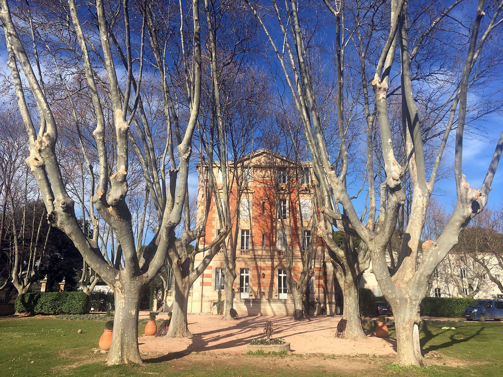 Access Vert paysagiste Aix en Provence Abatage et élagage