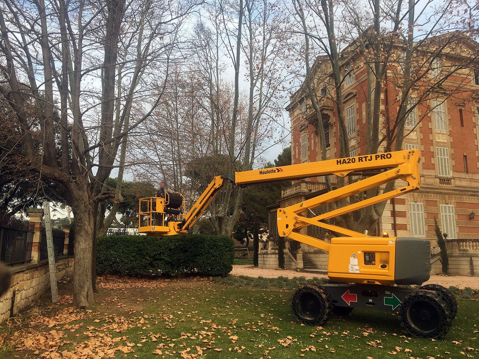 Access Vert paysagiste Aix en Provence Abatage et élagage