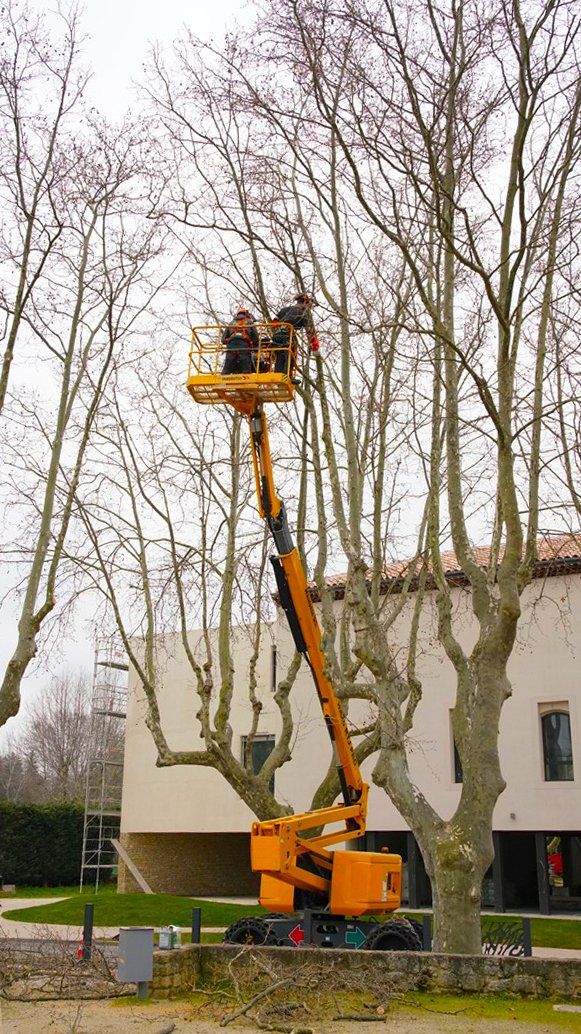 Access Vert paysagiste Aix en Provence Abatage et élagage