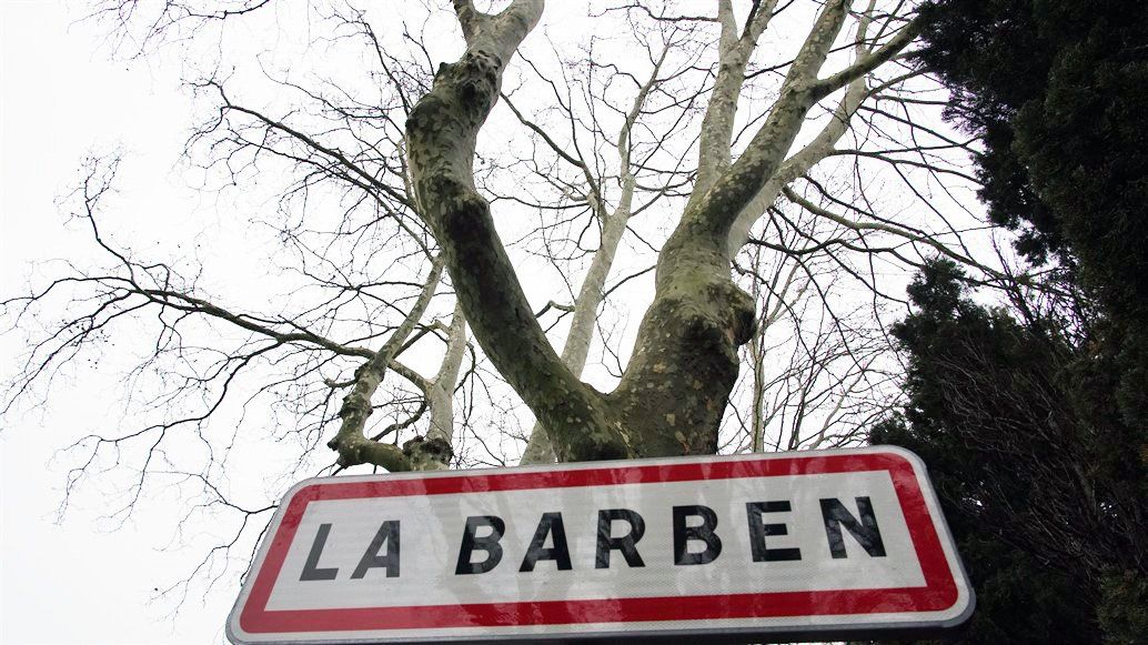 Access Vert paysagiste Aix en Provence Abatage et élagage