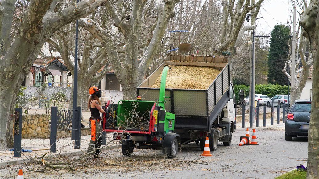 Access Vert paysagiste Aix en Provence Abatage et élagage