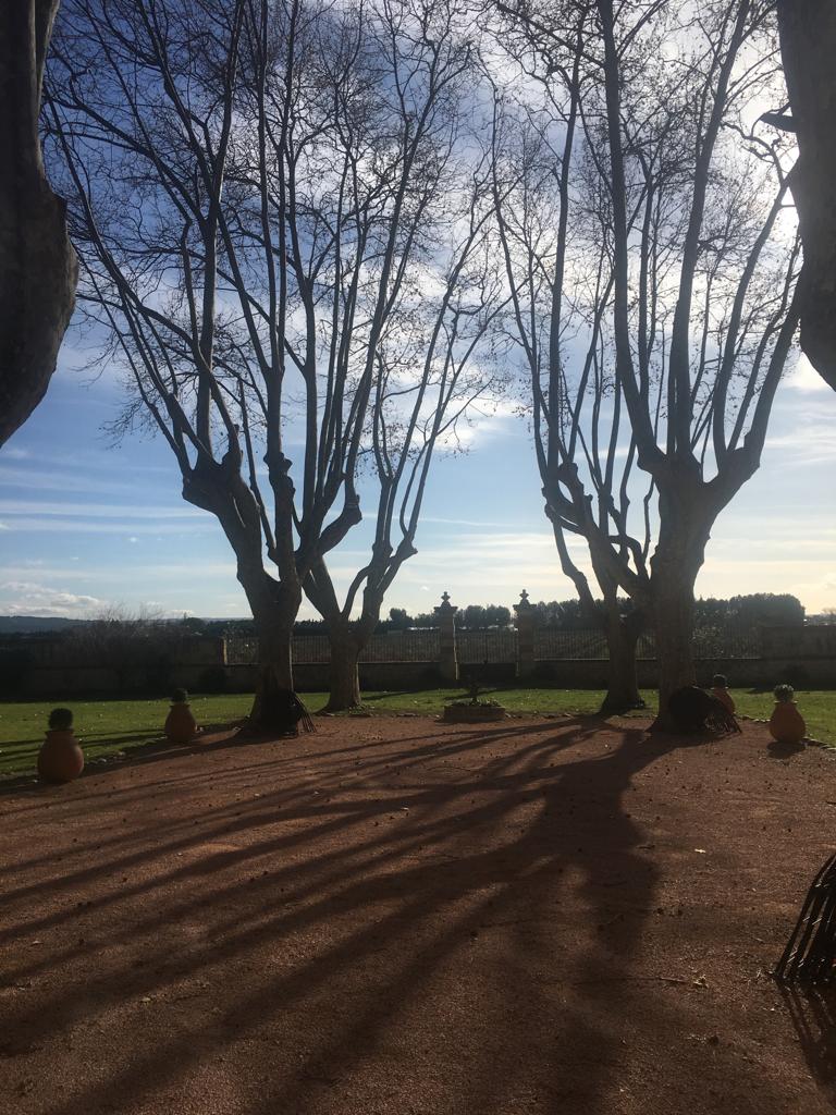 Access Vert paysagiste Aix en Provence Abatage et élagage