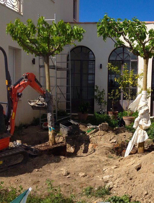 Access Vert création de paysage, plantations et gazon synthètique