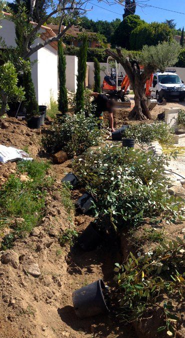 Access Vert création de paysage, plantations et gazon synthètique