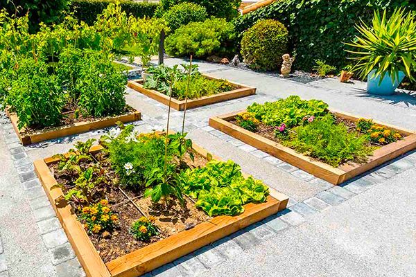 Access Vert réalisation de potager bio