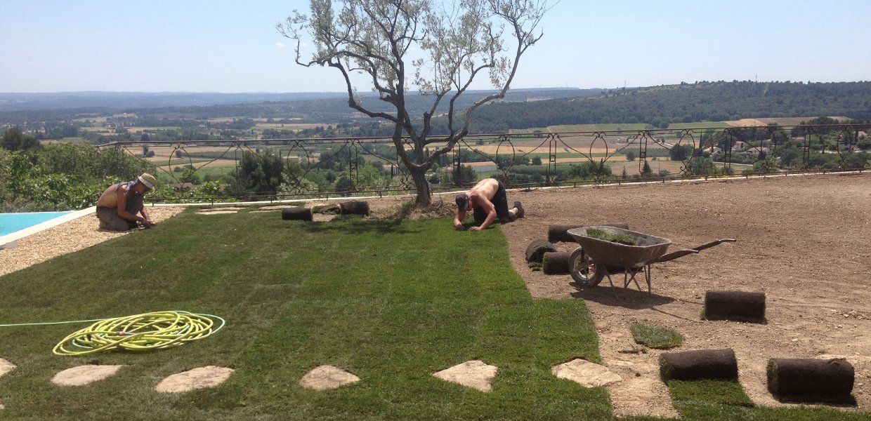 Access Vert réalisation de pose de pelouse et irrigation