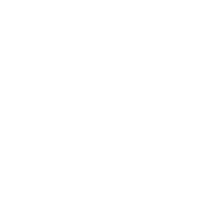 Google My Business optimieren