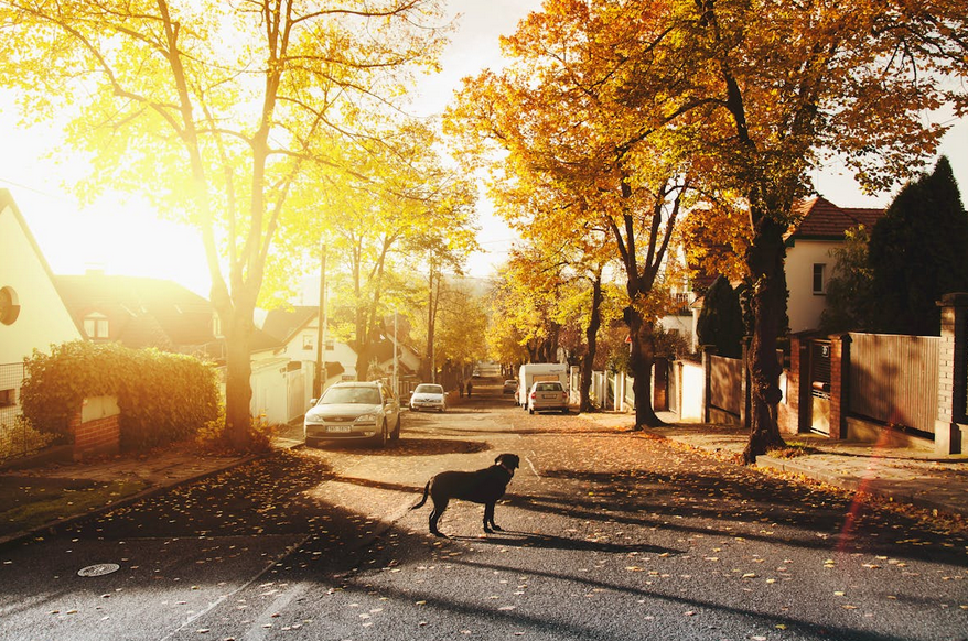 Immobilien Marketing Strategien