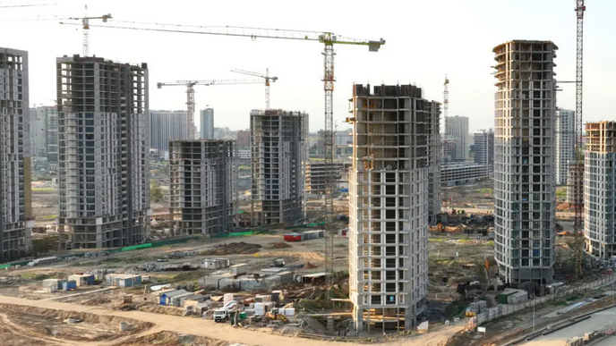 Immobilienmakler-Ratgeber Grundlagen für Makler