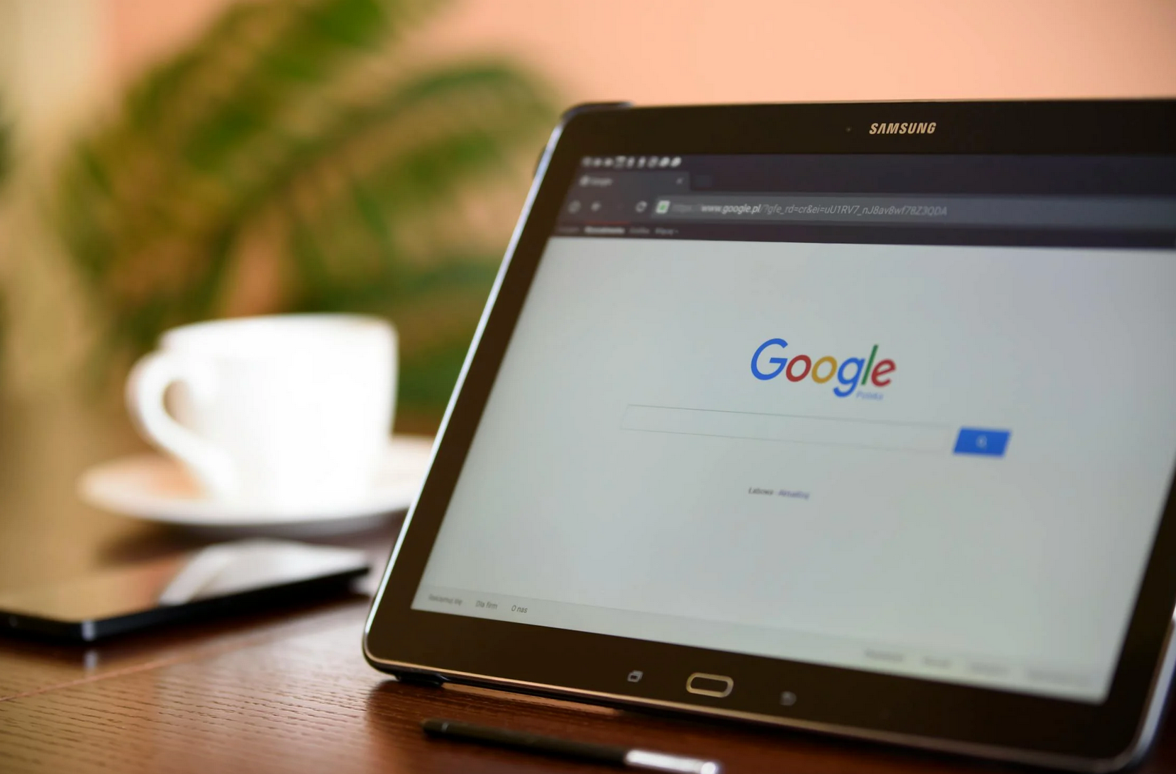Google My Business als Makler einrichten Google My Business als Makler einrichten