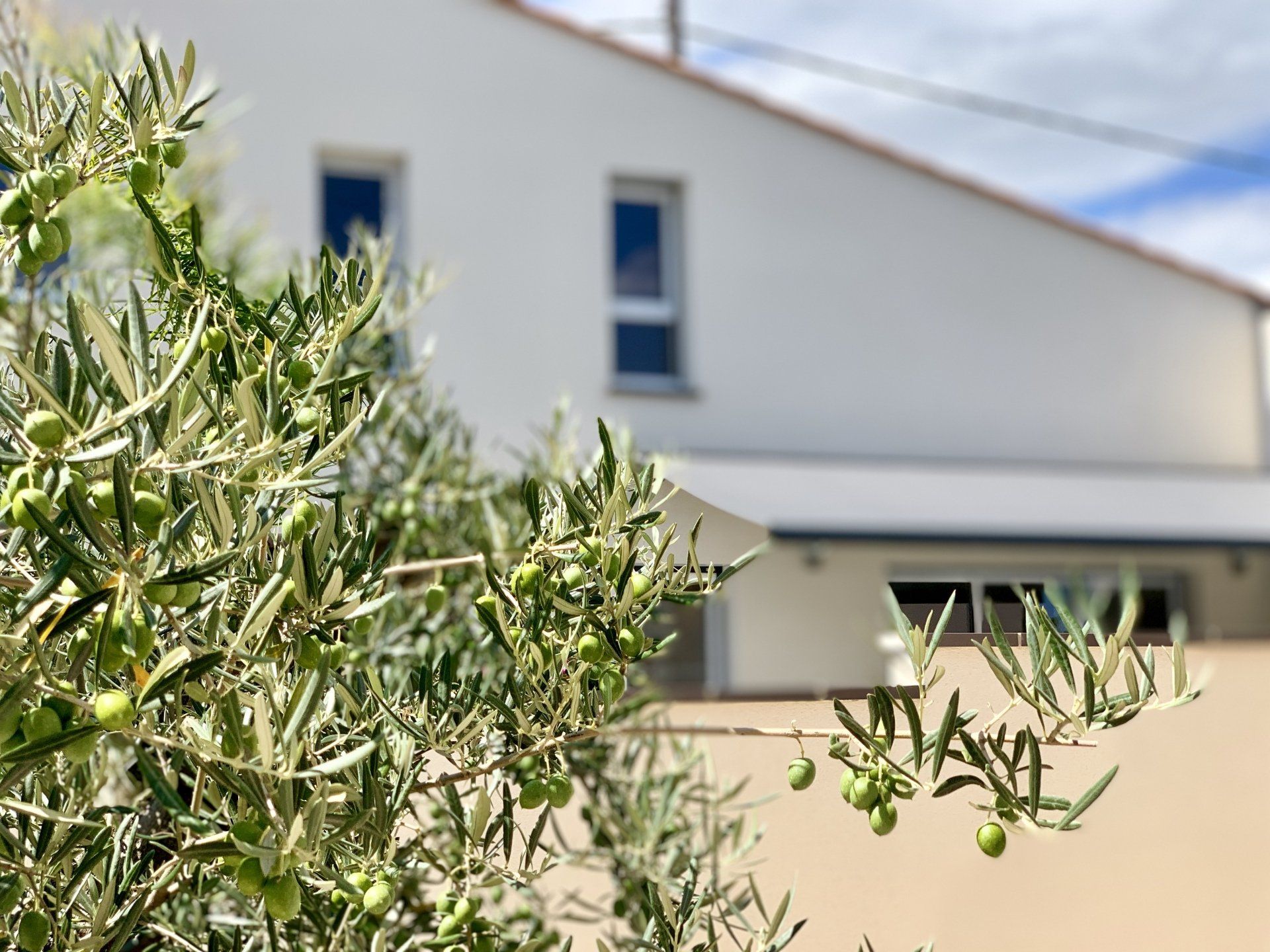 Les Villas Black&White Palau-del-Vidre