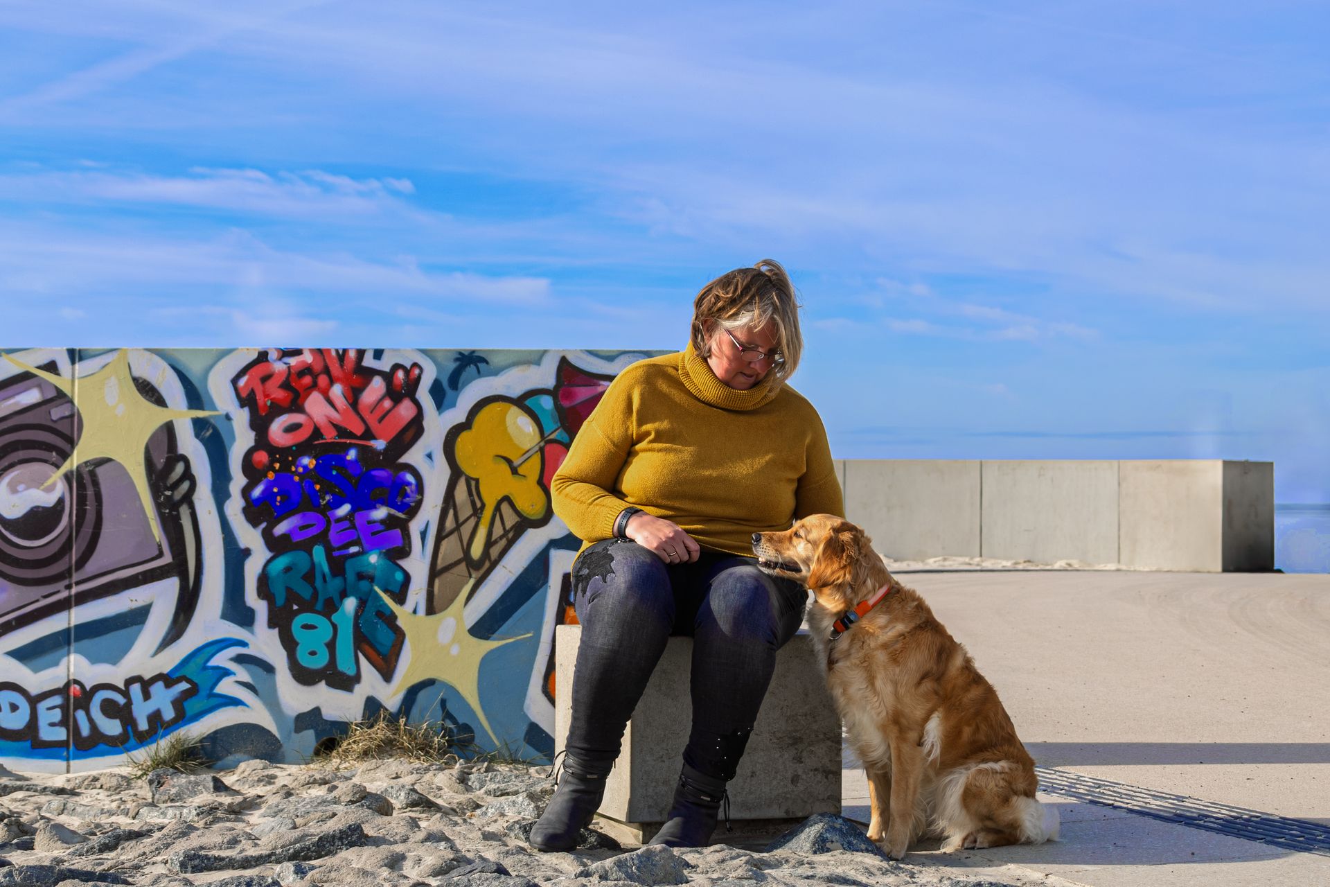 Hündin Paula beim Shooting in Norddeich auf dem Deich. Hund im Sonnenuntergang – Fotoshooting mit Anke's Fotoshooting