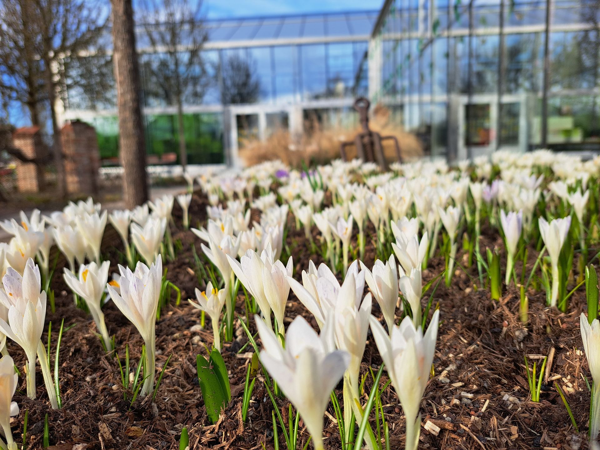 Winter im Museum der Gartenkultur