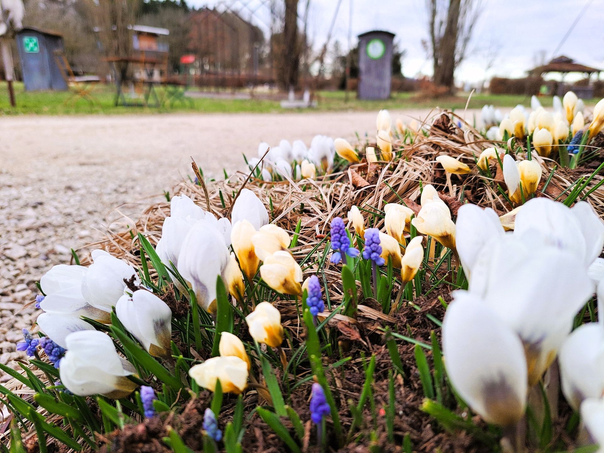 Winter im Museum der Gartenkultur