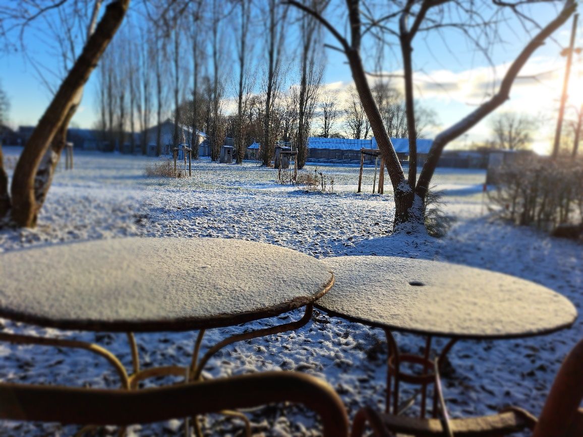 Winter im Museum der Gartenkultur