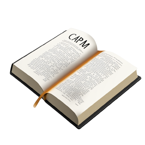 Les 5 règles d'or pour réussir l'examen CAPM