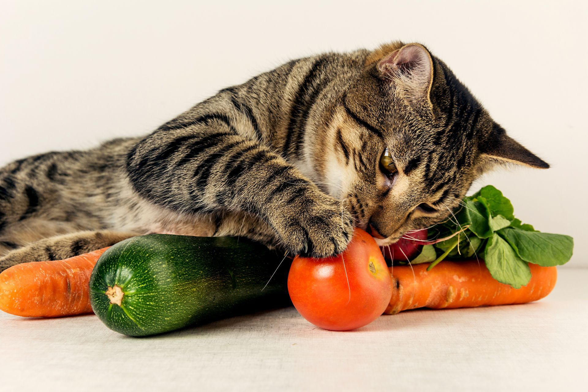 Katze liegt mit Gemüse und Obst da und pfötelt danach