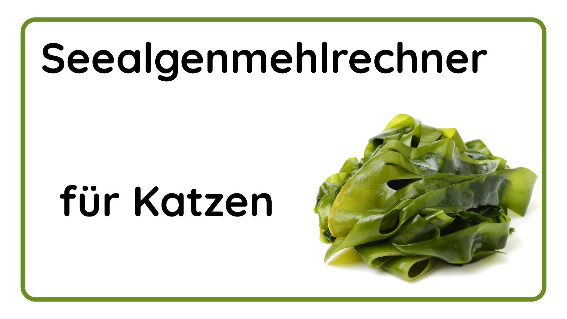 Seealgenmehlrechner für Katzen