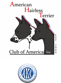 American Hairless Terrier AHTCA