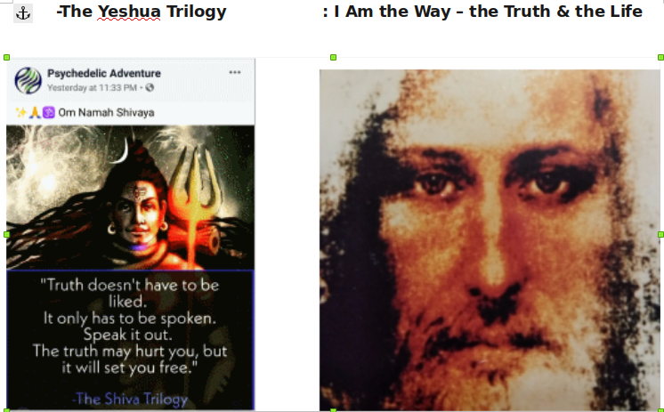 DIVINE COSMIC EXPRESSIONS OF SHIVA & YESHUA TRILOGY FOR TRUTH & LIFE