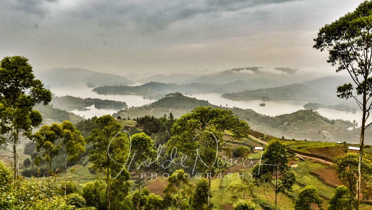 Lake Bunyonyi 20 Tage UGANDA SPEZIAL - Gorillas, Safaris und Birding