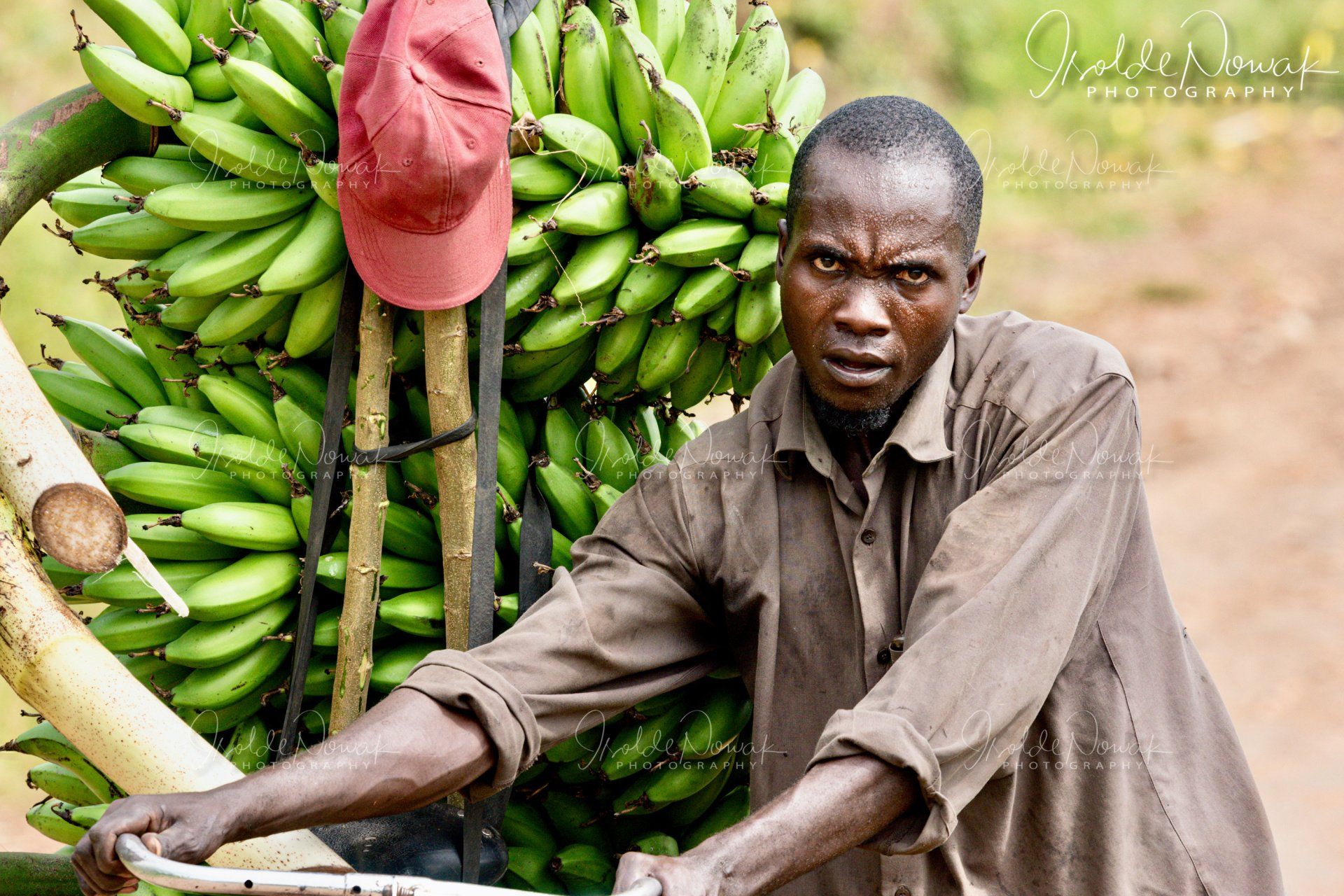 Matoke 20 Tage UGANDA SPEZIAL - Gorillas, Safaris und Birding