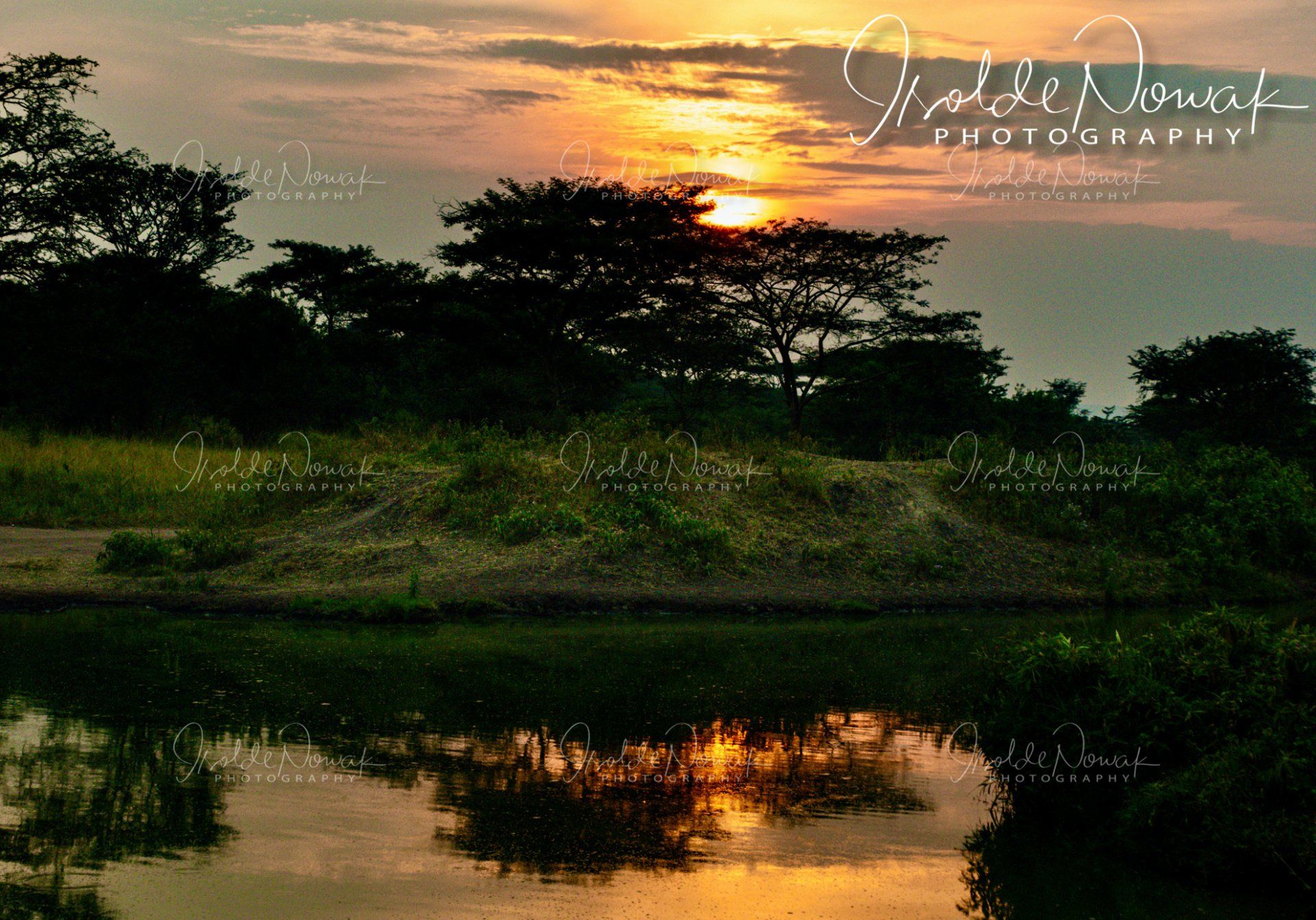 sunset 20 Tage UGANDA SPEZIAL - Gorillas, Safaris und Birding