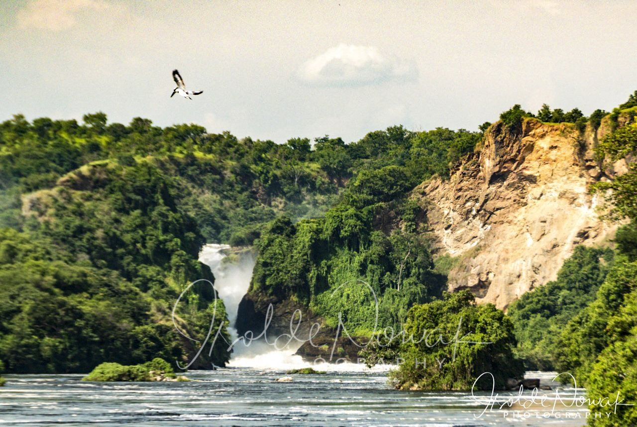 Murchison Falls