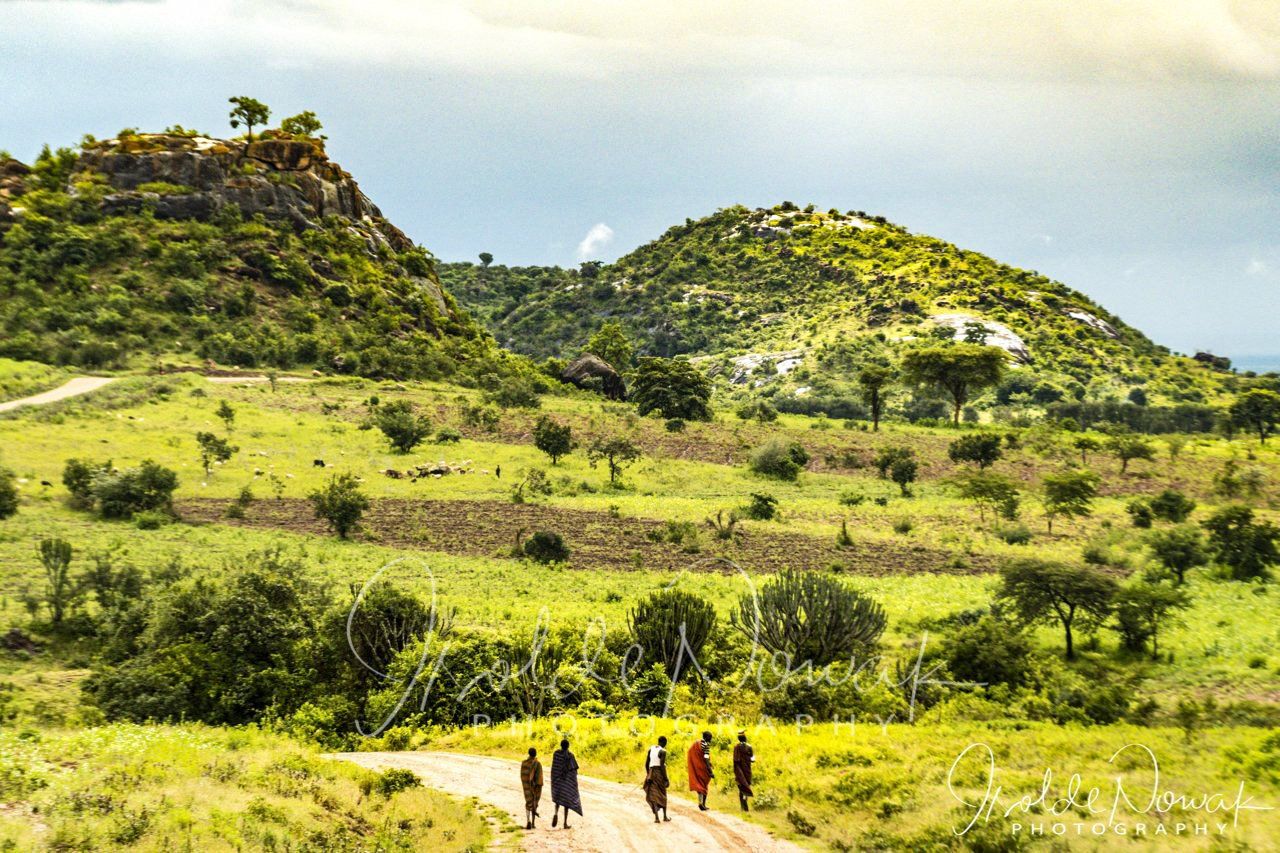 Landschaft auf dem Weg zum Kidepo NP