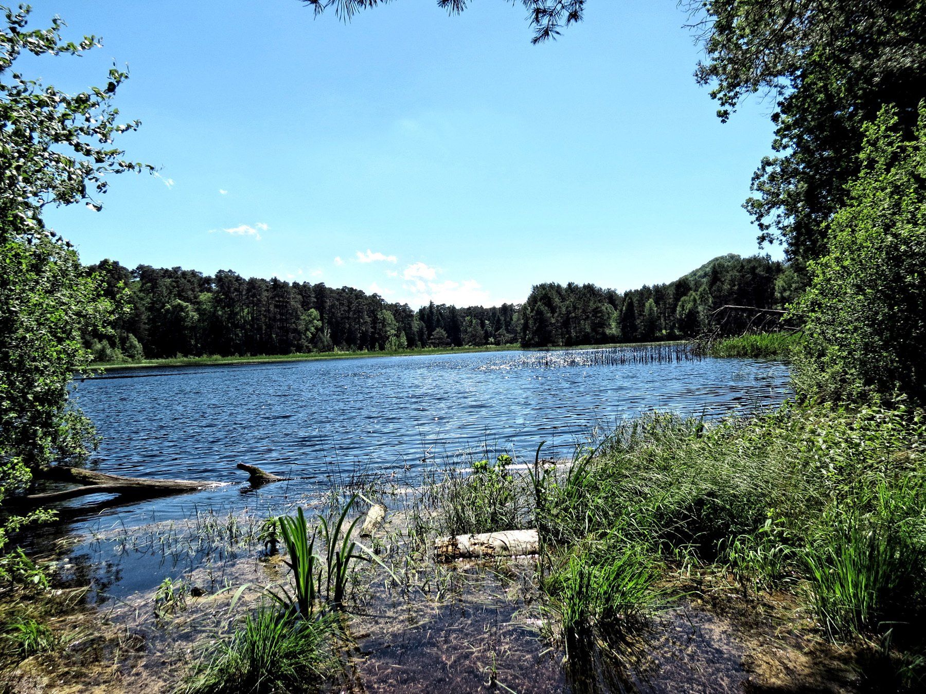 Naturschutzgebiet Pfälzerwoog Naturschutzgebiet Pfälzerwoog