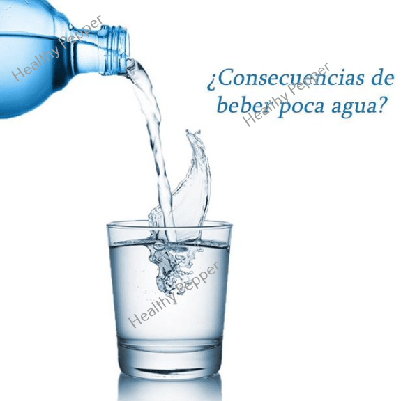 www.healthypepper.es El Estómago