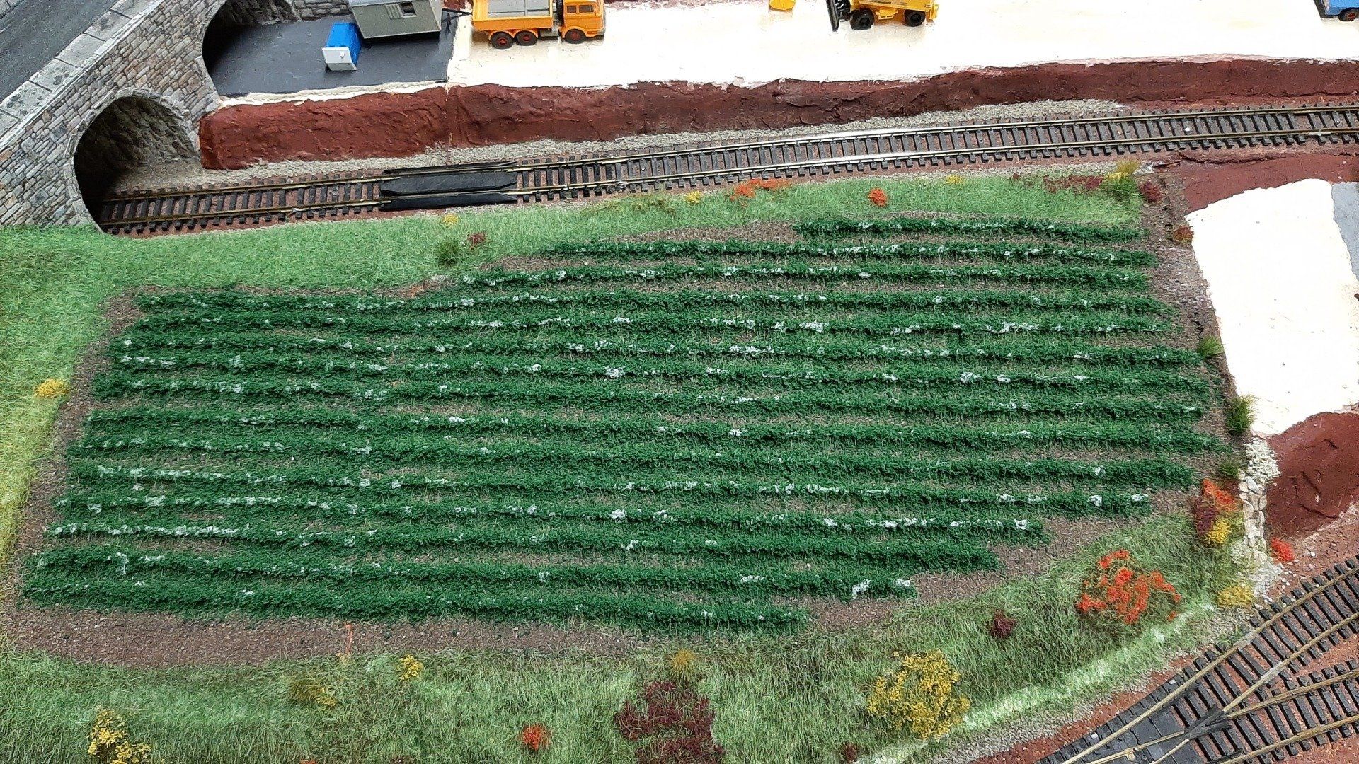 Stand: 30.09.2022 fertige Begrünung