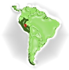 Landkarte Peru Anbaugebiet Kakao