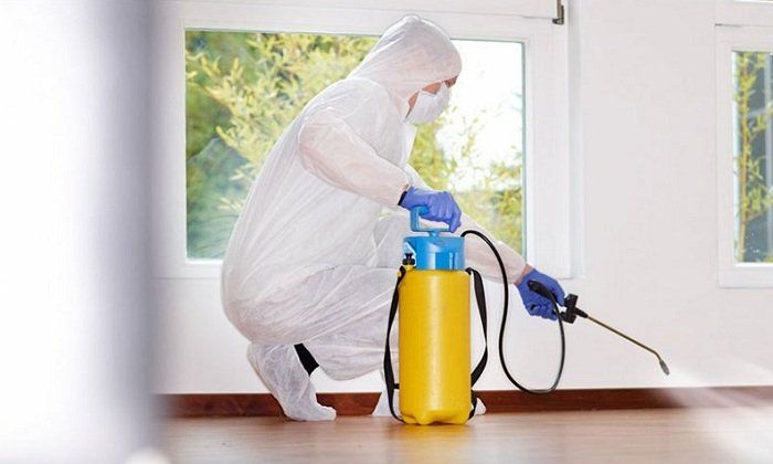 Disinfezione