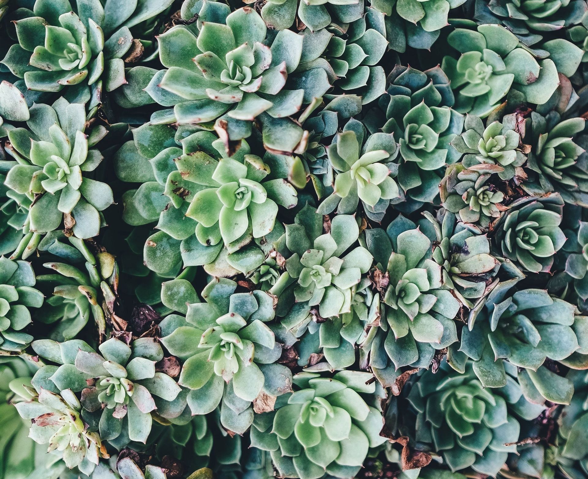 Inga Knappmeier Beratung - Therapie - Coaching