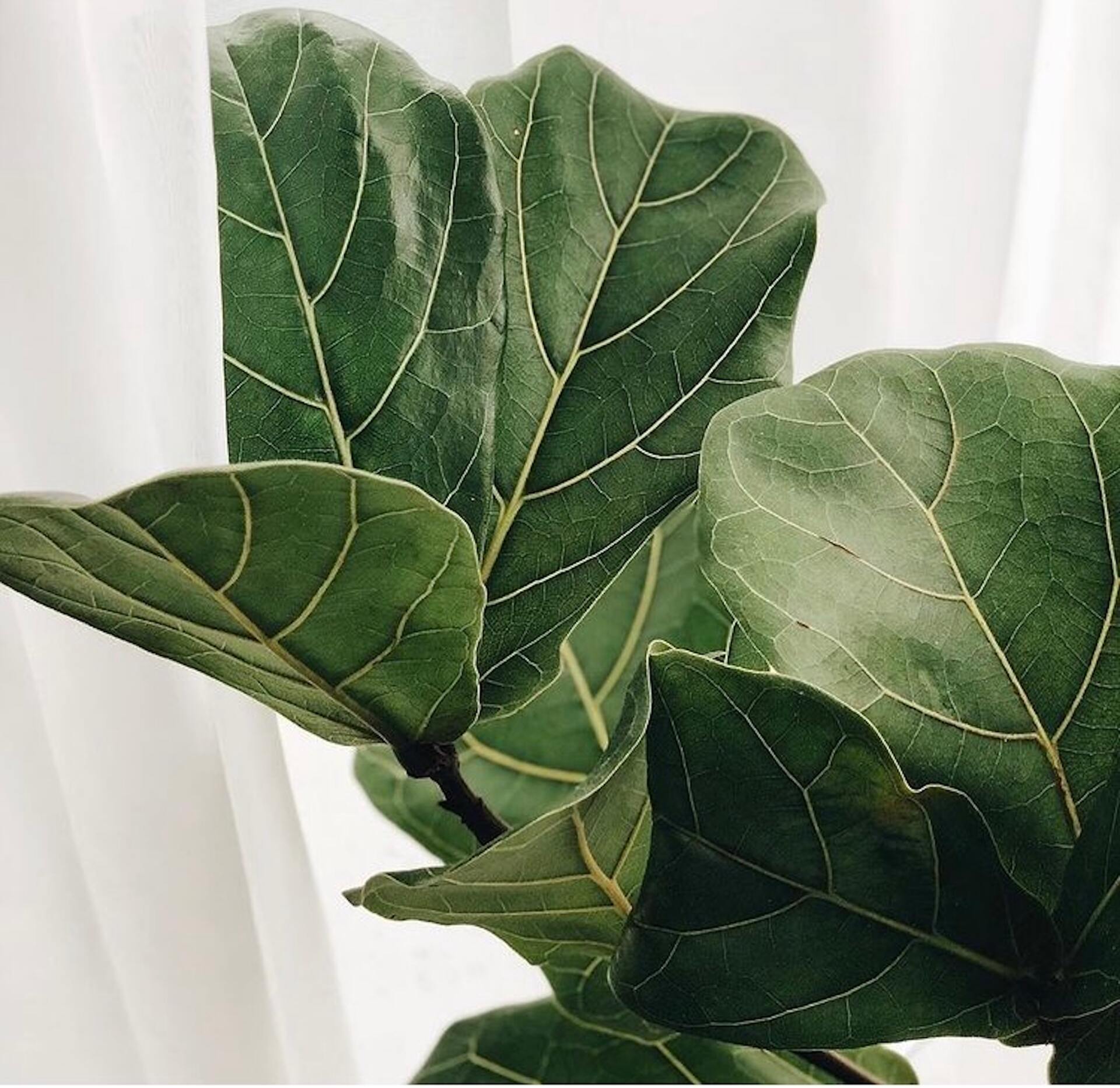 Beratung - Rheine Lebenskrisen Orientierung