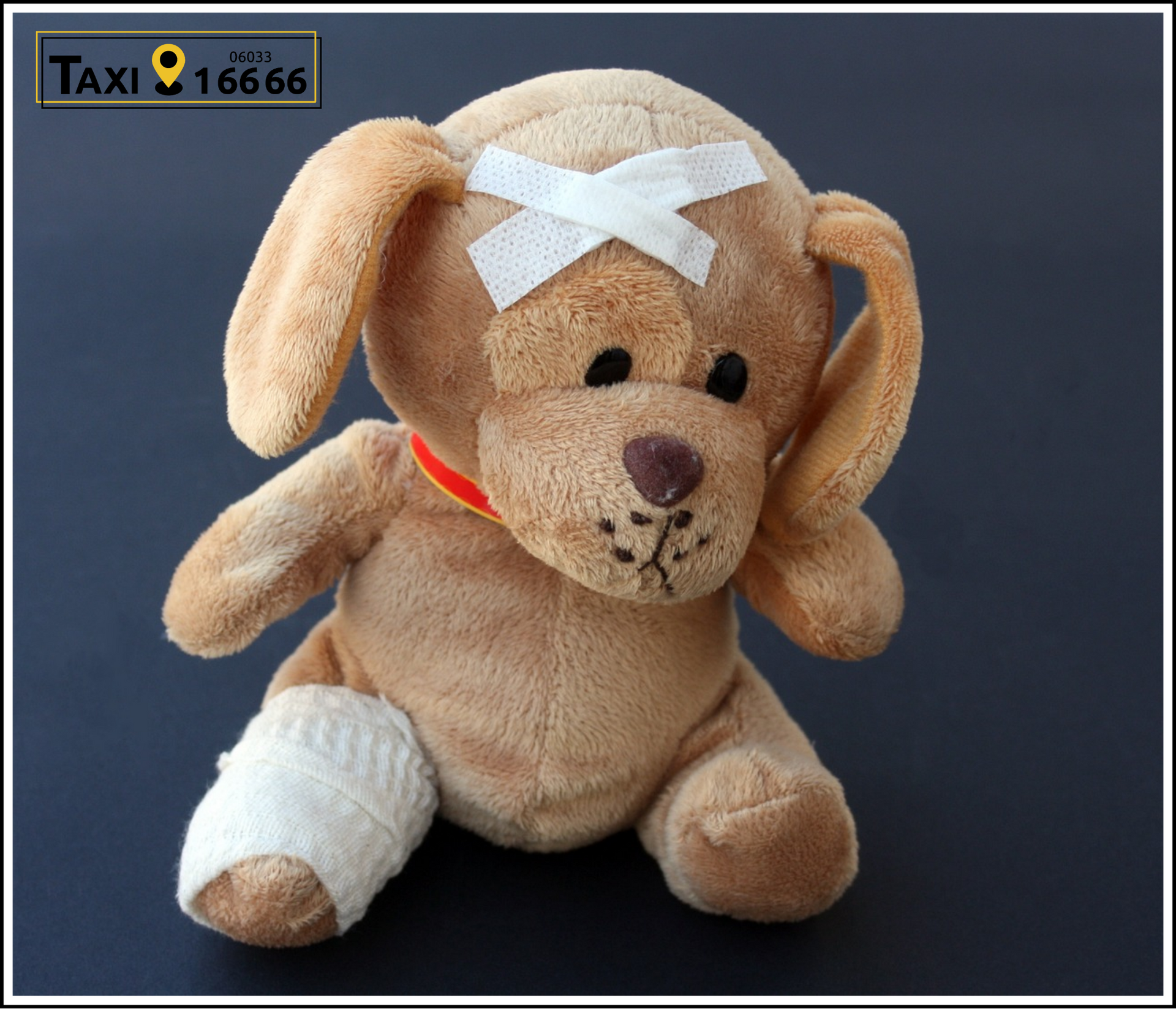 Kranker Teddy