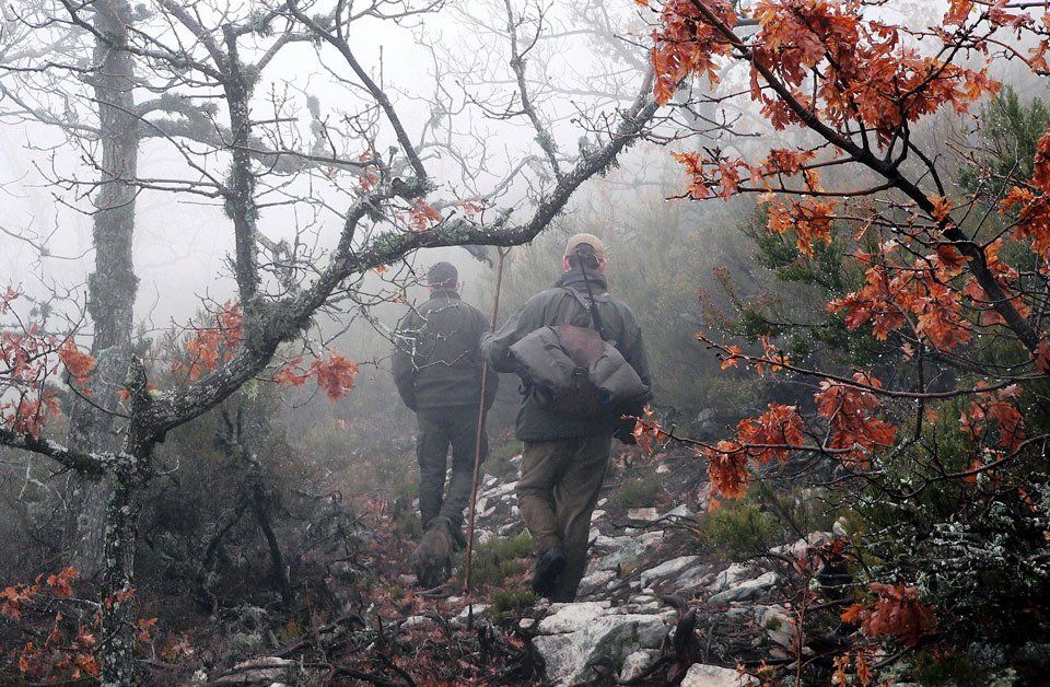 Portada del libro, rececho de macho montés en RR Batuecas Libro Más allá de la caza