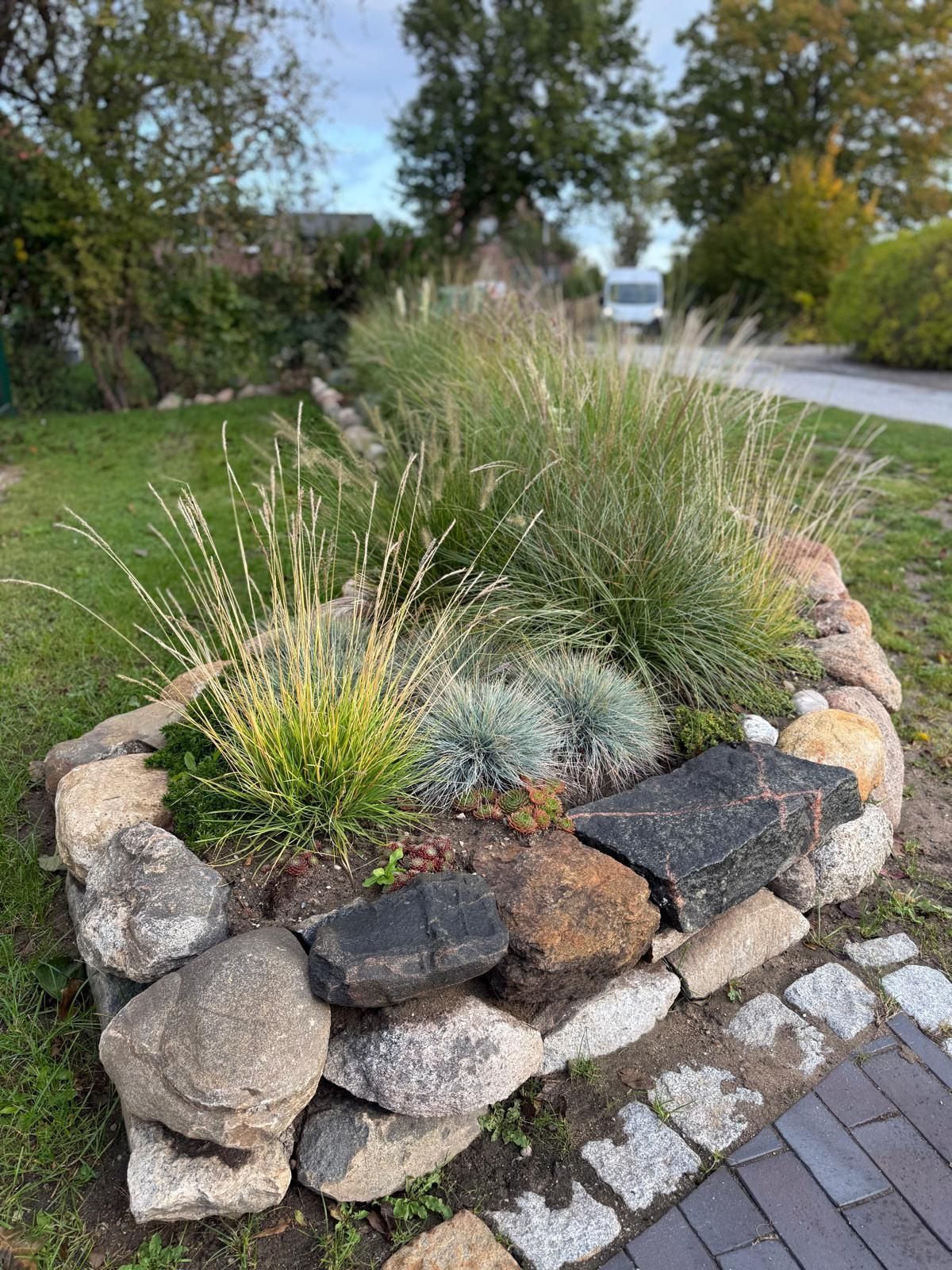 Gräser und Pflanzen auf Trockenmauer von Sund Gartenbau