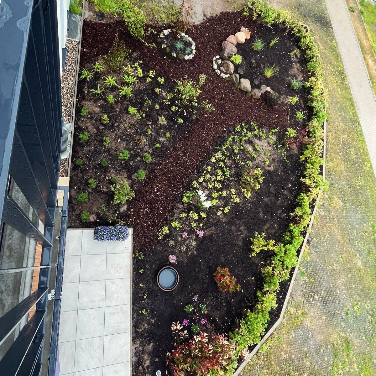 Neuanlage eines kleinen Gartens in Heiligenhafen mit moderner Gestaltung und pflegeleichter Bepflanzung