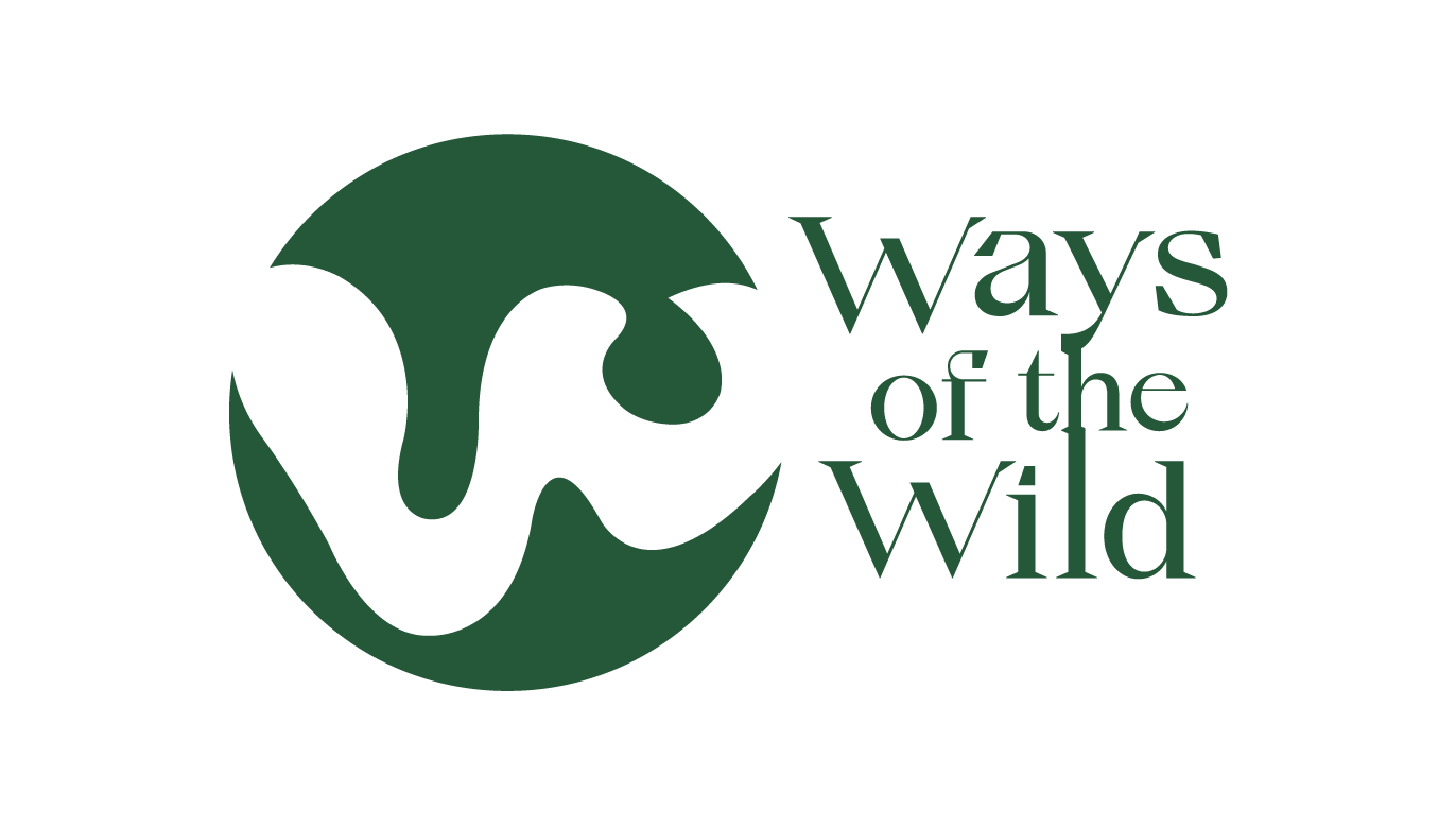 ACUMCO CONSULT | Interim Manager | Ways of the wild