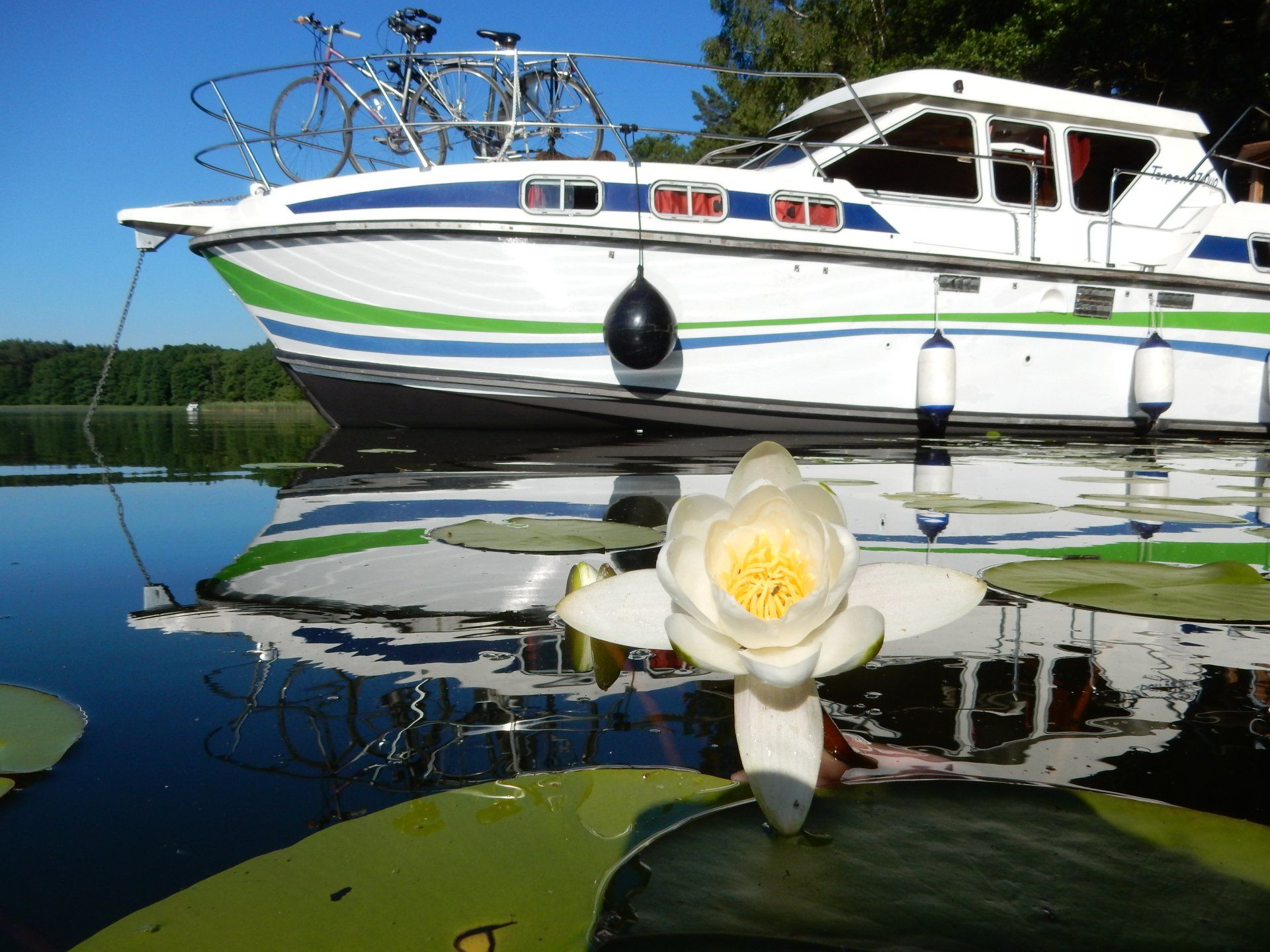 Tarpon 37 Duo Prestige Tarpon 37 Duo Prestige