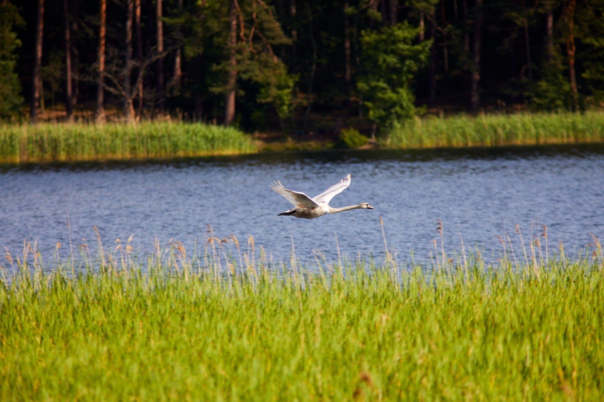 Fotoworkshop an Bord
