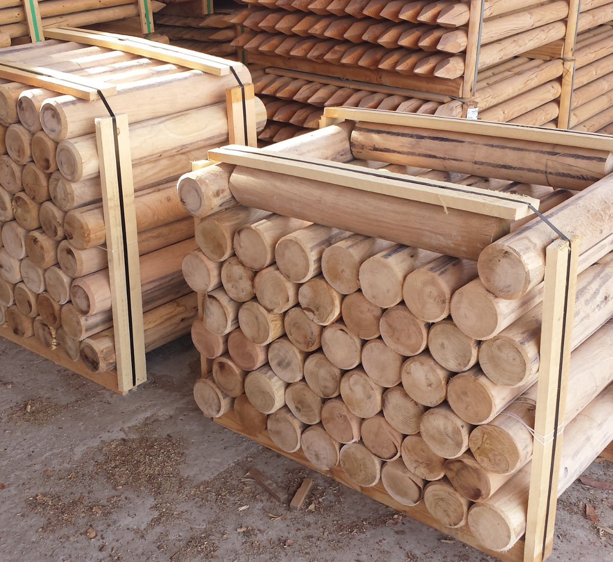 Gefräste Eichenpfähle | Eichenpalisaden