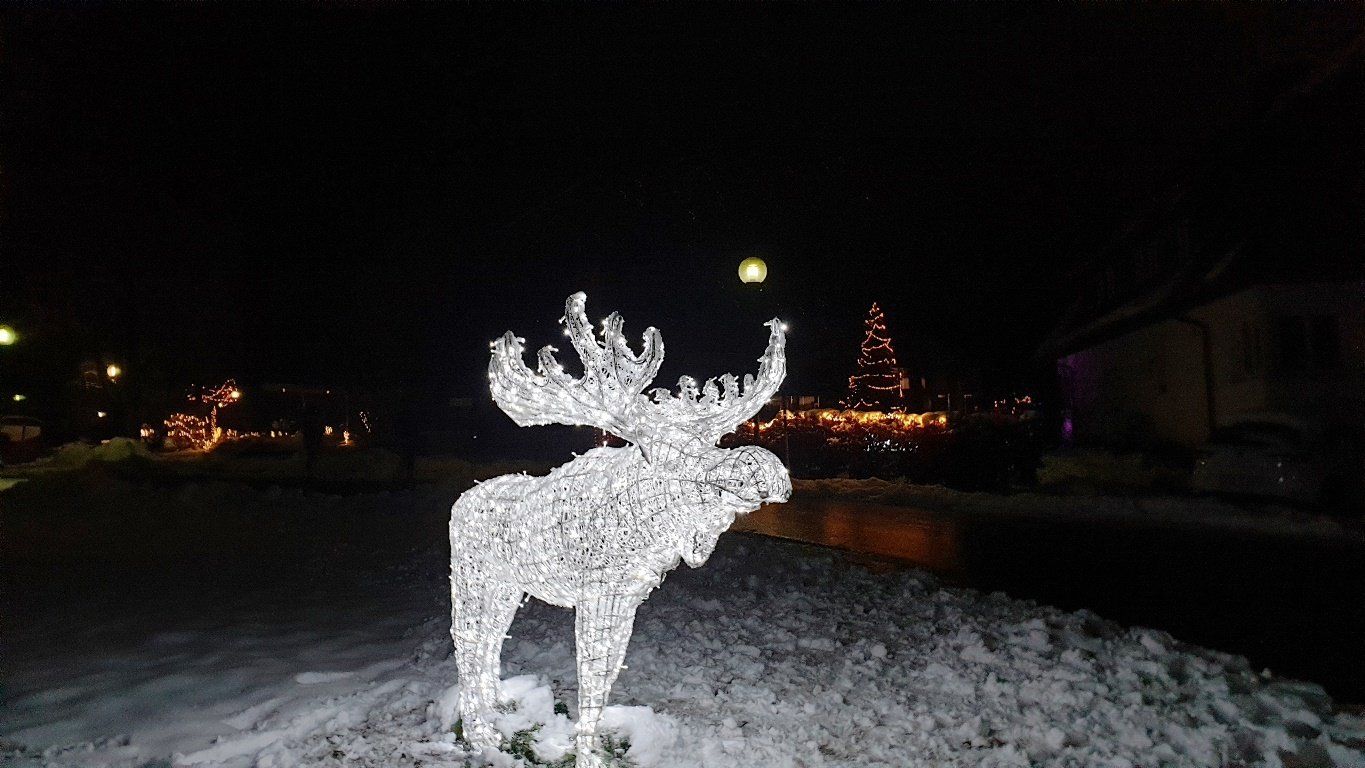 Adventsbuffet, Bad Waldsee, Restaurant im Hofgut; Fürstliches Golf-Resort, 5-Gaenge-Menue, Pianomusik, Silvesterknaller